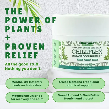 🎁𝐎𝐟𝐟𝐢𝐜𝐢𝐚𝐥 𝐒𝐭𝐨𝐫𝐞: TLOPA® Chillflex Mint Pain Relief Cream  (Treatment for arthritis, neuropathyy, rheumatic diseases, muscle spasms, twitches and sports injuries)
