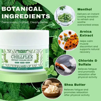 🎁𝐎𝐟𝐟𝐢𝐜𝐢𝐚𝐥 𝐒𝐭𝐨𝐫𝐞: TLOPA® Chillflex Mint Pain Relief Cream  (Treatment for arthritis, neuropathyy, rheumatic diseases, muscle spasms, twitches and sports injuries)